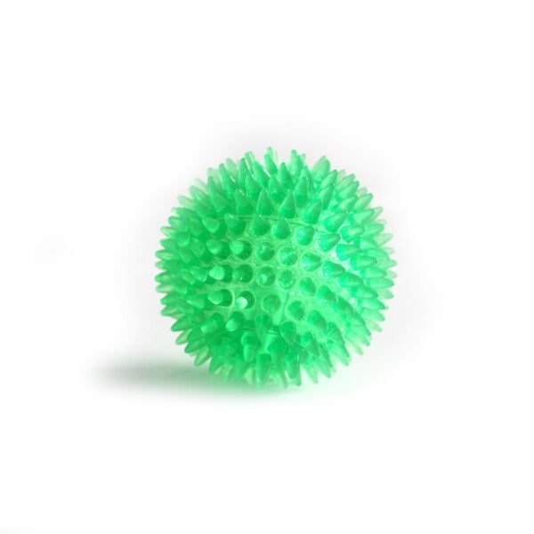 568529625 Interactive Pig Face Dog Ball