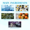 Tranquil Ocean Fragrance Mist
