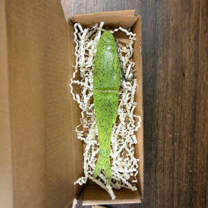 Realistic Wobbling Bass Lure Set