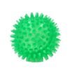 568529624 Interactive Pig Face Dog Ball