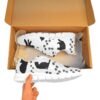 Men's Breathable Sneakers