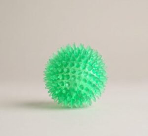 Interactive Pig Face Dog Ball