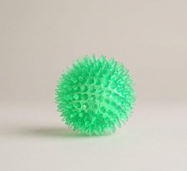 Dog voice toy prick ball small dog pet TPR grinding toy ball (2) Interactive Pig Face Dog Ball