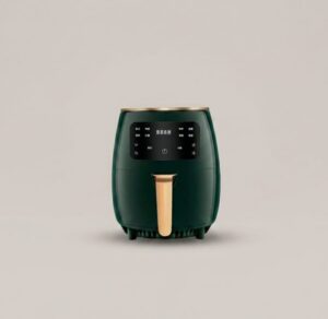 Silver Crest Air Fryer