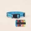 Nylon Dog Collar and Leash Set Pet Collars Leash for Small Medium Large Dogs Dog Accessories for Small Dogs (2) Nylon Dog Collar and Leash Set