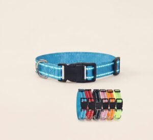 Nylon Dog Collar and Leash Set Pet Collars Leash for Small Medium Large Dogs Dog Accessories for Small Dogs (2) Nylon Dog Collar and Leash Set