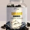 Shilajit Gummies | Energy Gummies | Pure Himalayan Shilajit for Men & Women