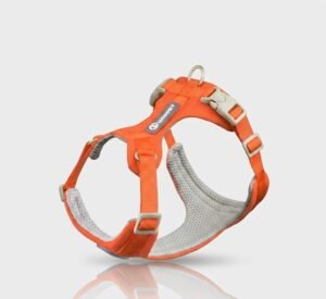 Whippet Anti-Slip Dog Harness Lightweight Dog Harness Breathable and Durable Adjustable Vest for Medium-Sized Dog Greyhounds (2) Whippet Anti-Slip Dog Harness